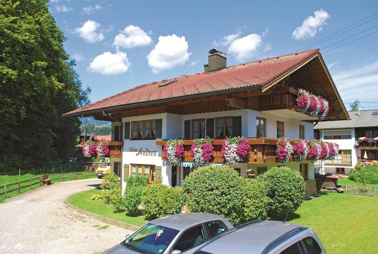Haus Andrea Fischen im Allgaeu Exterior foto